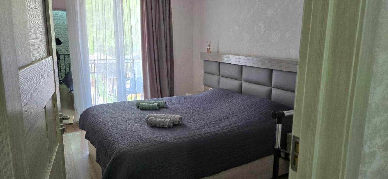 My House Villa Borjomi ภายนอก รูปภาพ