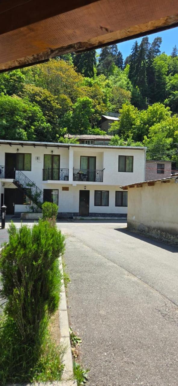 My House Villa Borjomi ภายนอก รูปภาพ